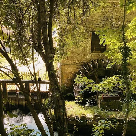Les Séquoias Géants * Saint-Martin-Aux-Arbres