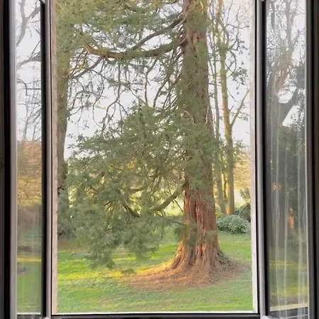Les Séquoias Géants Villa Saint-Martin-Aux-Arbres
