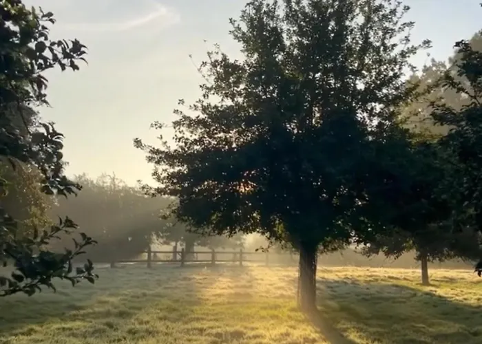 Villa Les Séquoias Géants *